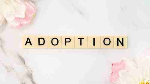How To Go About Giving A Baby Up For Adoption